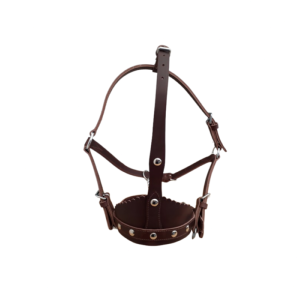 Licol taureau 18/24 mois - cuir double épaisseur - 5 réglages