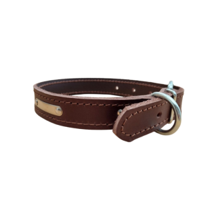 Collier chien cuir - avec plaque - modèle moyen