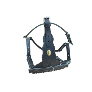 Licol Jeune Taureau 18 mois - cuir doublé - 5 réglages